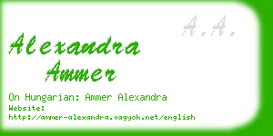 alexandra ammer business card